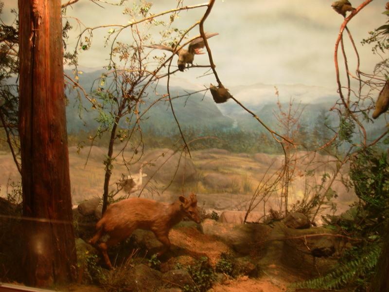 Foto de Santiago, Chile