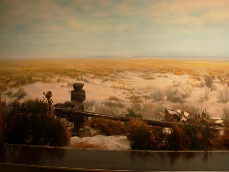 Foto de Santiago, Chile