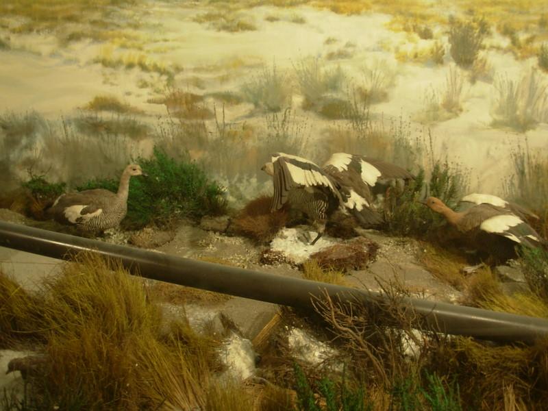 Foto de Santiago, Chile