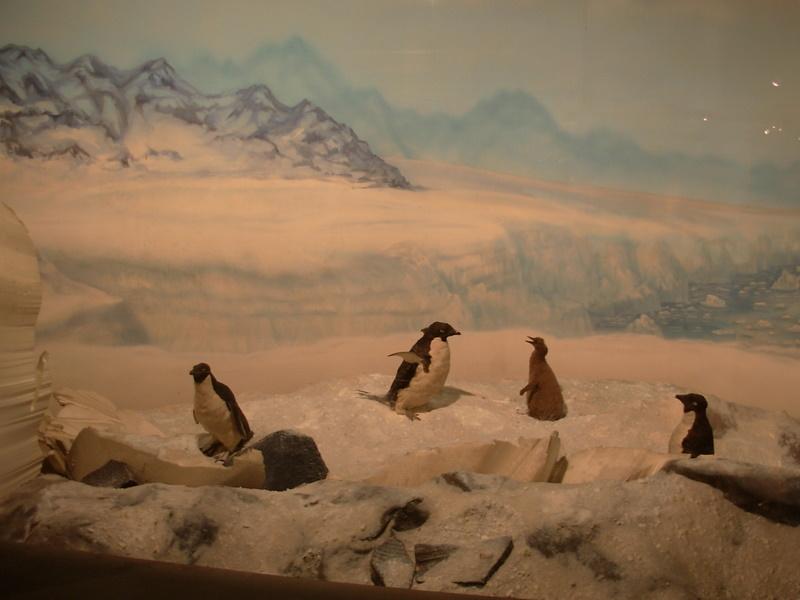 Foto de Santiago, Chile