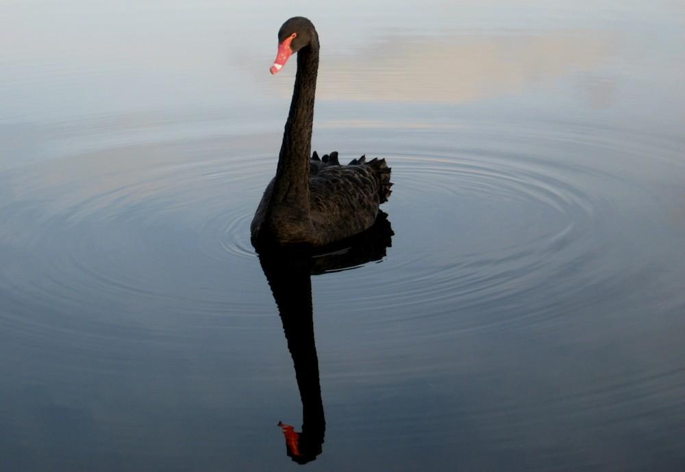 Foto de Puigerdà (Girona), España