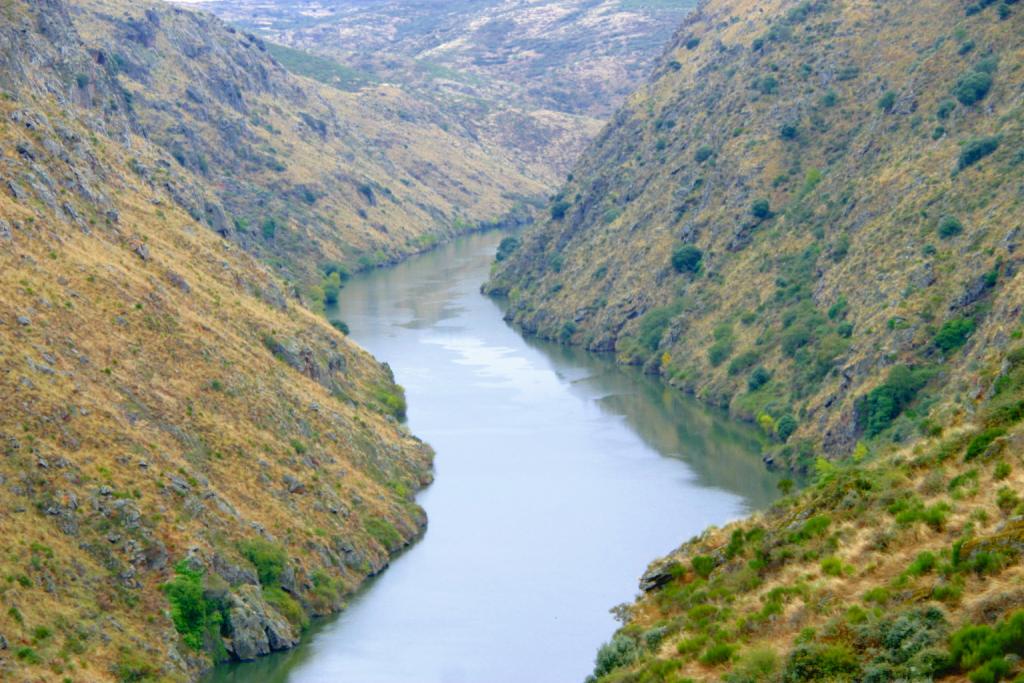 Foto de Pino de Oro (Zamora), España