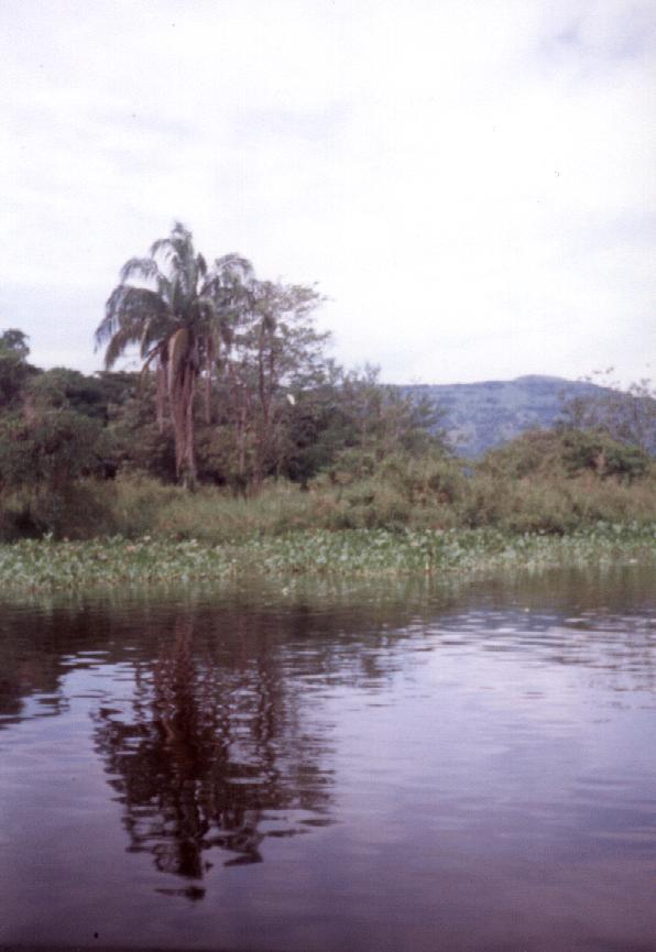 Foto de La Dorada, Colombia
