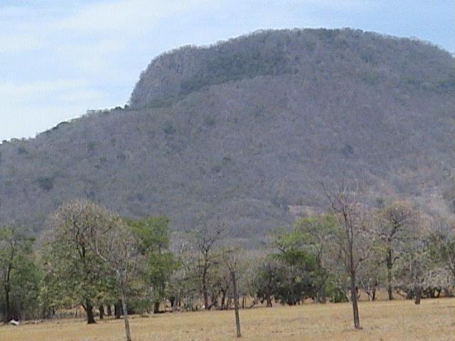 Foto de Palos Negros (Guanacaste), Costa Rica