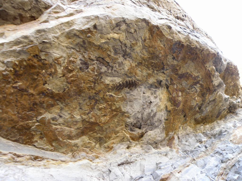 Foto de Iachigualasto (San Juan), Argentina