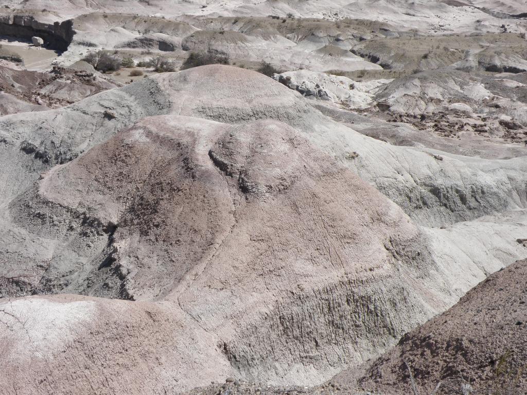 Foto de Ischigualasto (San Juan), Argelia