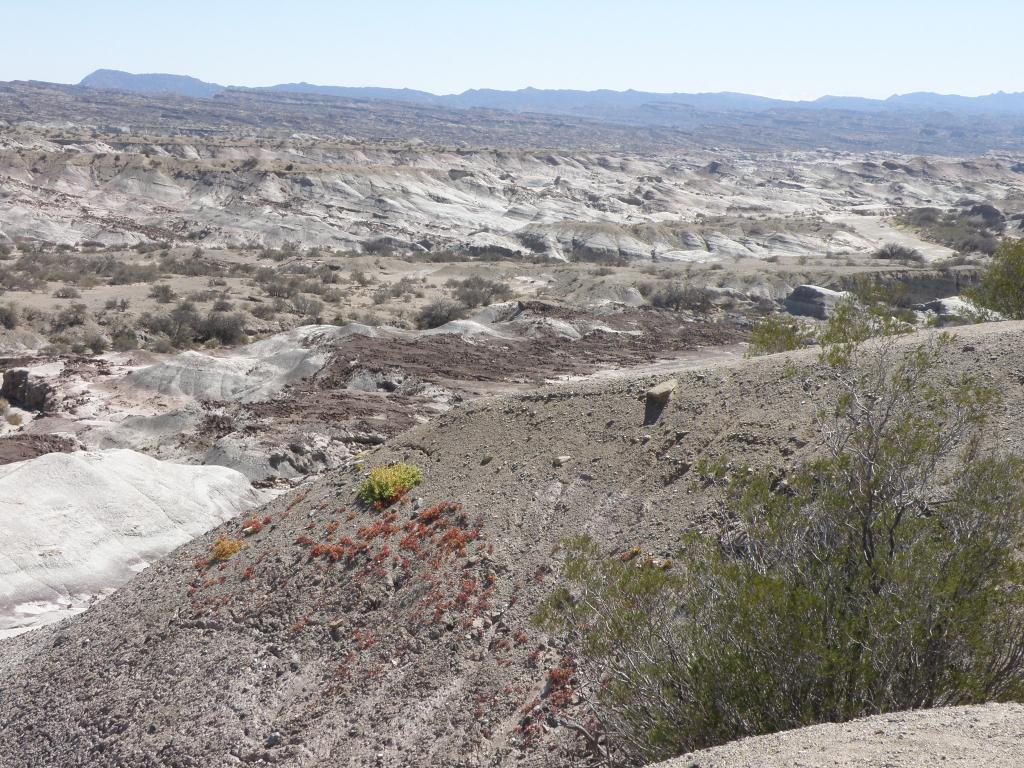 Foto de Ischigualasto (San Juan), Argelia