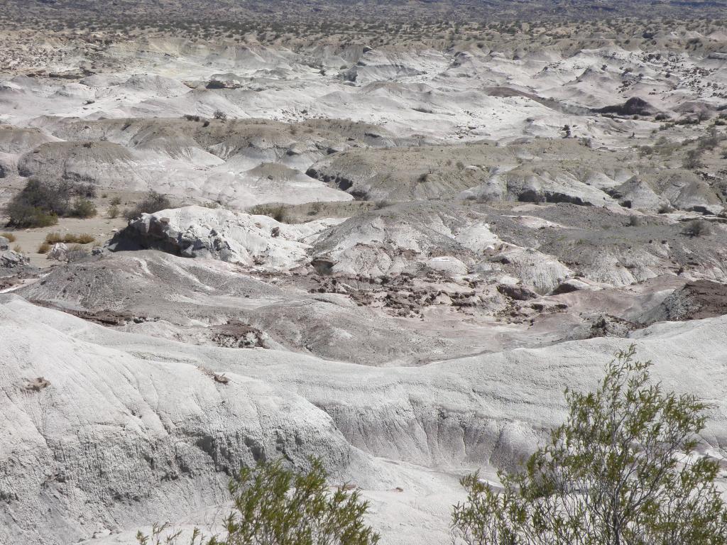 Foto de Ischigualasto (San Juan), Argelia