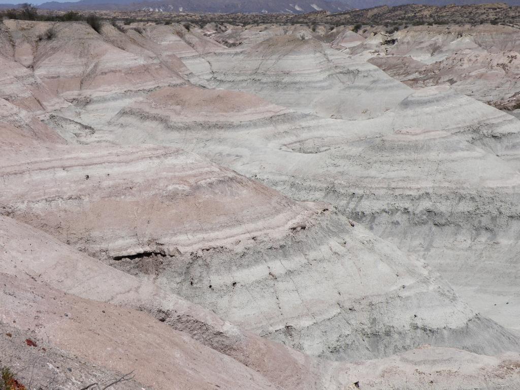 Foto de Ischigualasto (San Juan), Argelia
