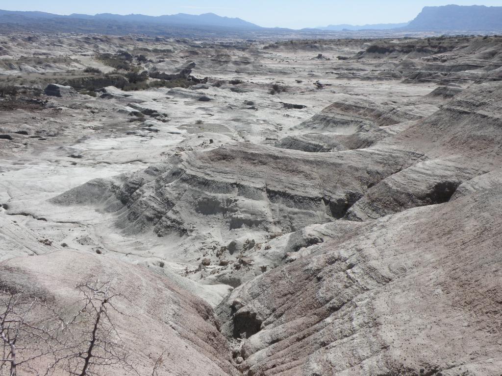 Foto de Ischigualasto (San Juan), Argentina
