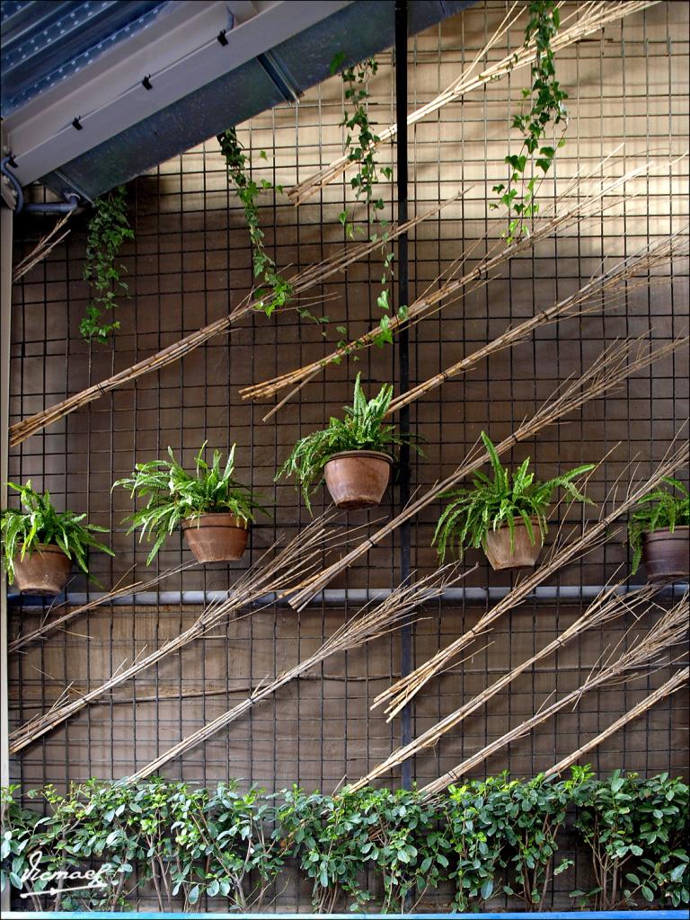 Foto de Zaragoza (Aragón), España