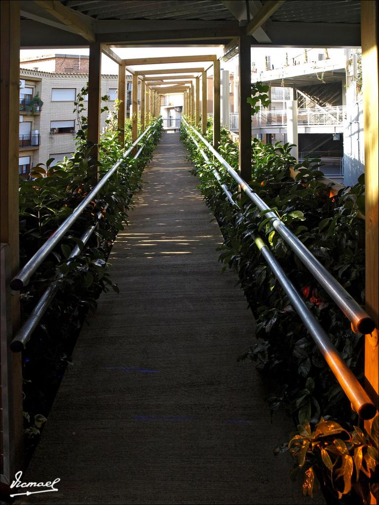 Foto de Zaragoza (Aragón), España