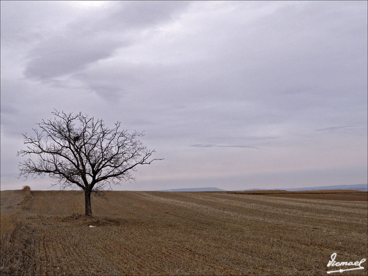 Foto de Torrehermosa (Zaragoza), España