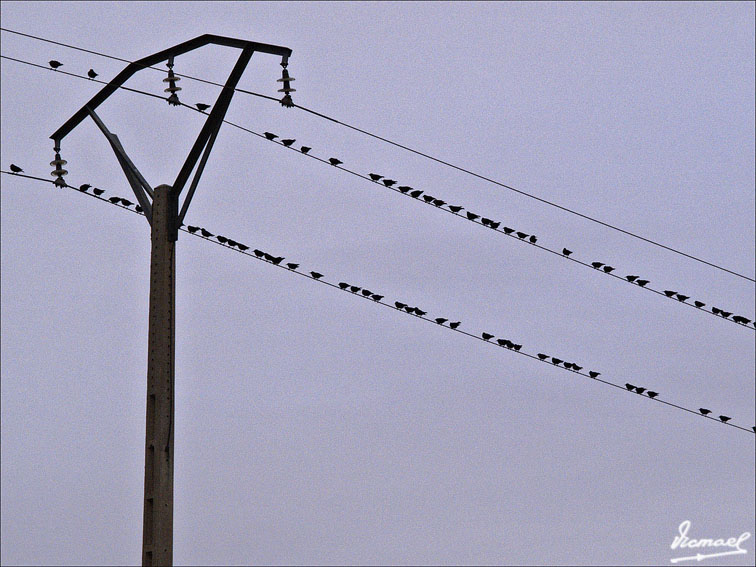 Foto de Torrehermosa (Zaragoza), España