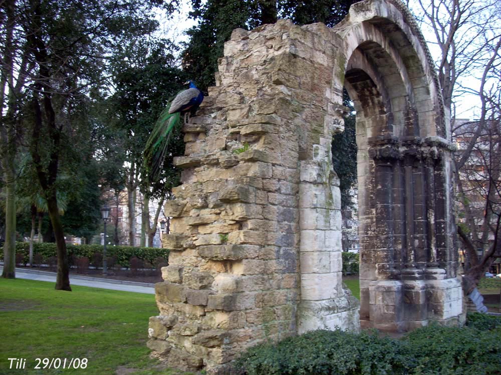 Foto de Oviedo (Asturias), España