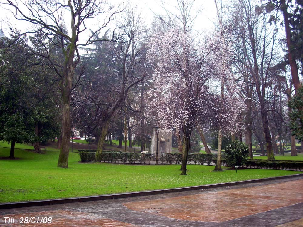 Foto de Oviedo (Asturias), España