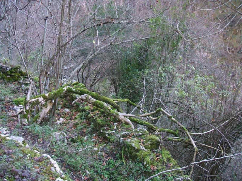 Foto de Tresviso (Cantabria), España