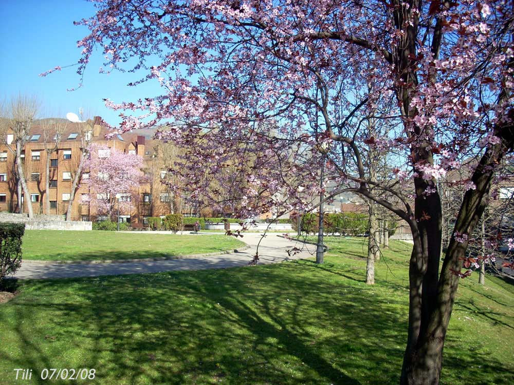 Foto de Oviedo (Asturias), España