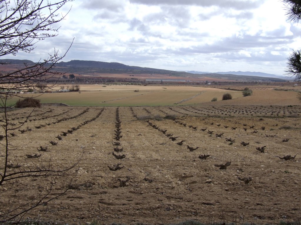 Foto de Montealegre del Castillo (Albacete), España