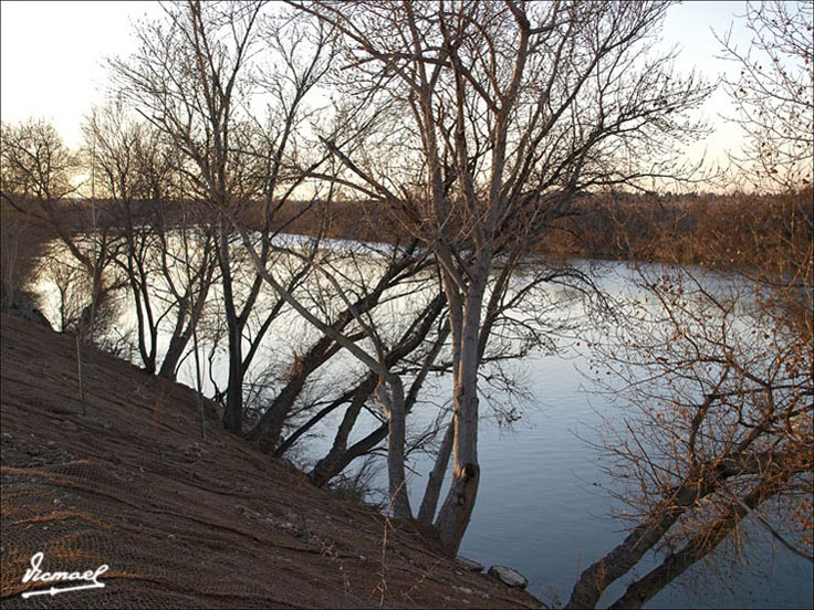 Foto de Zaragoza (Aragón), España