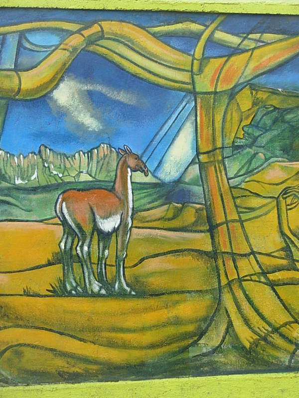 Foto de Puerto Natales, Chile