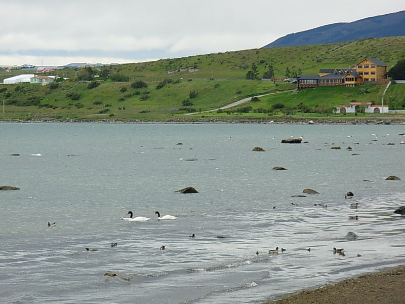 Foto de Puerto Natales, Chile