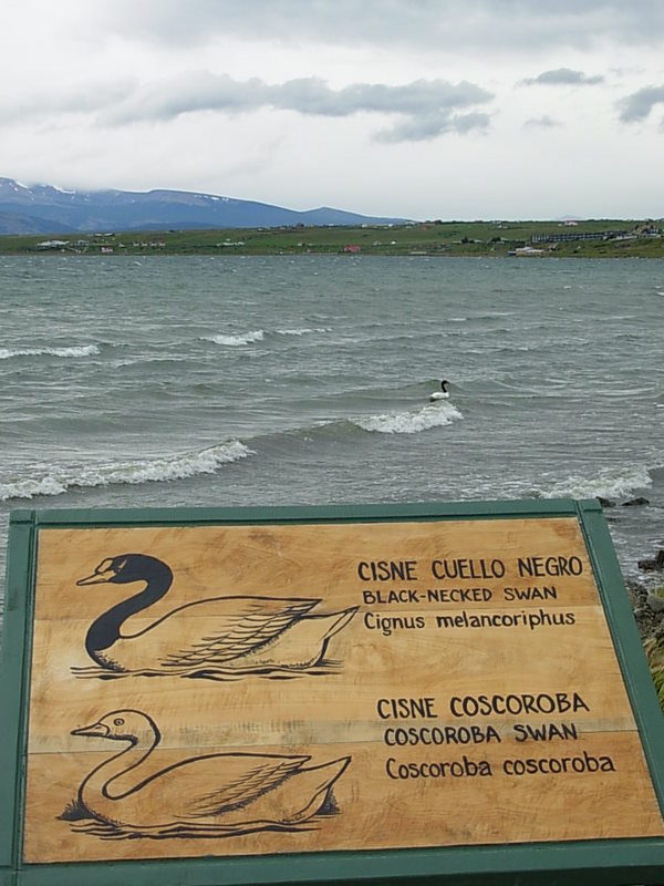 Foto de Puerto Natales, Chile