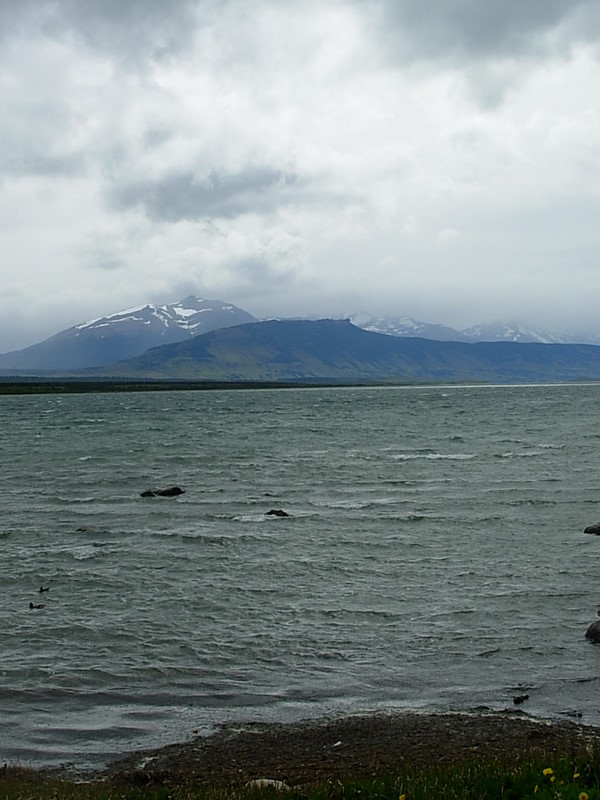 Foto de Puerto Natales, Chile