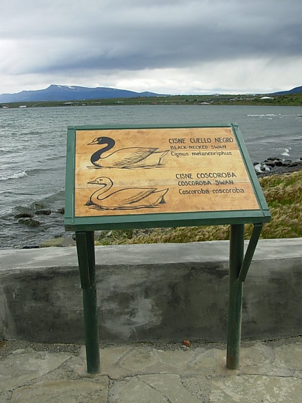 Foto de Puerto Natales, Chile