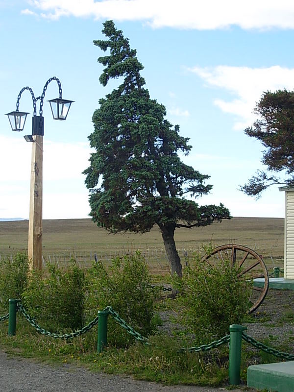Foto de Pampas Patagónicas, Argentina