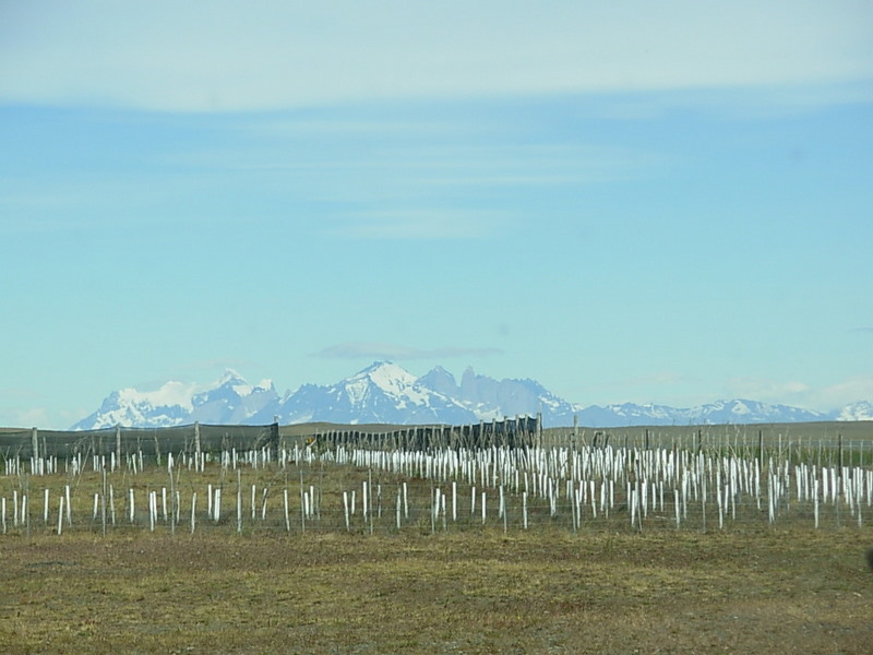 Foto de Pampas Patagónicas, Argentina