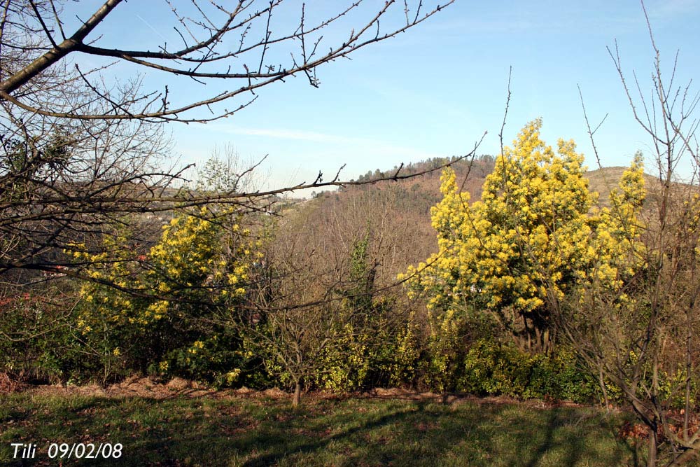 Foto de Figarines (Asturias), España