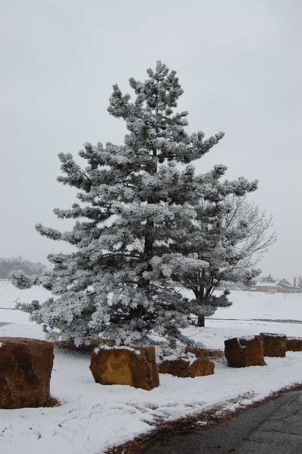Foto de Tulsa Oklahoma (Oklahoma), Estados Unidos