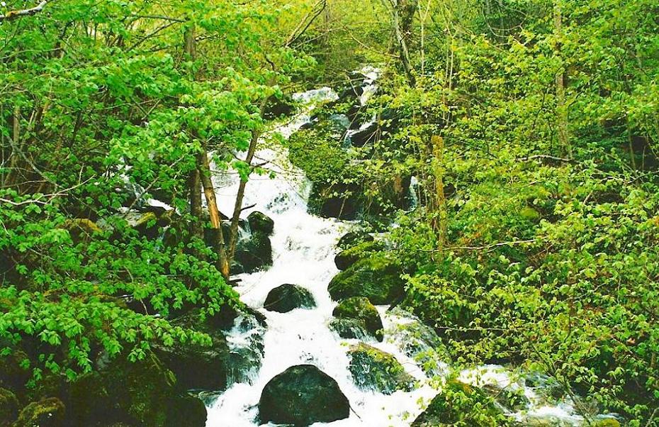 Foto de Bausen (Lleida), España