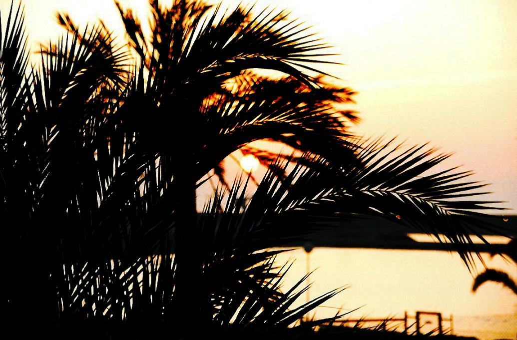 Foto de Benicarló (Castelló), España