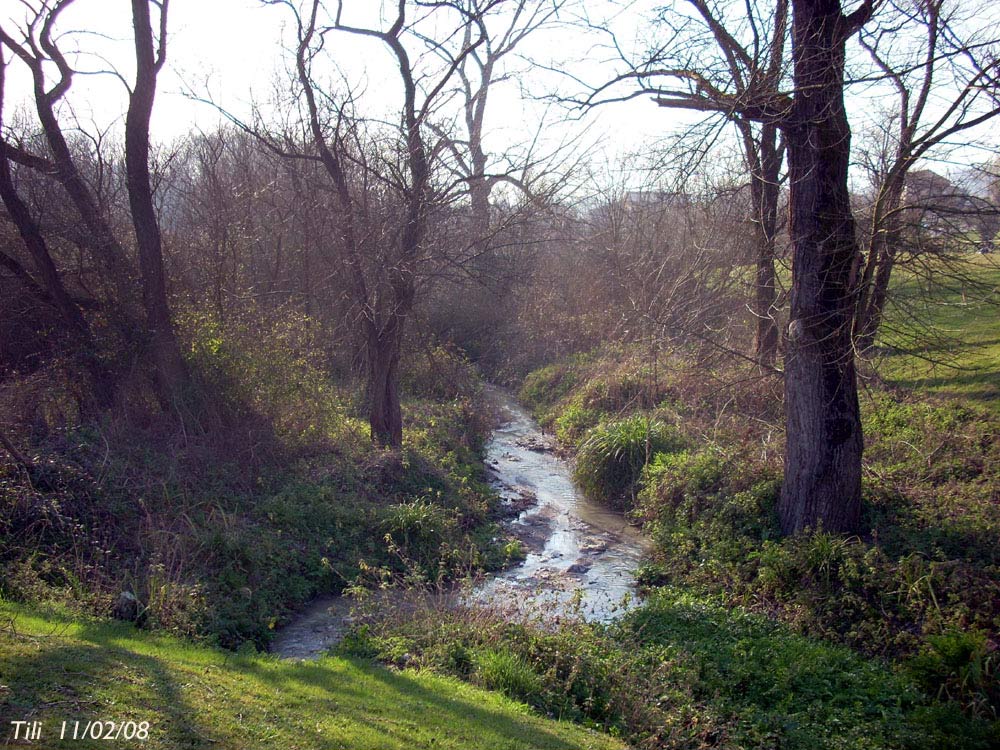 Foto de Oviedo (Asturias), España