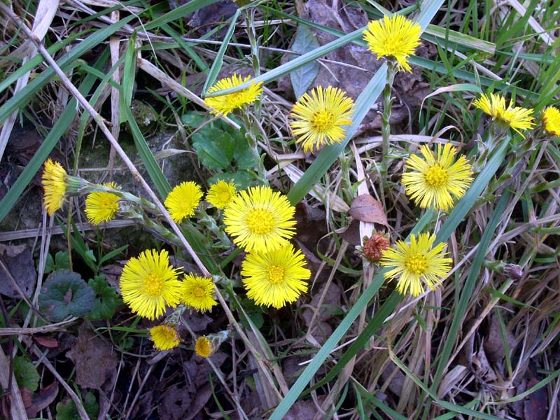 Foto de Oviedo (Asturias), España