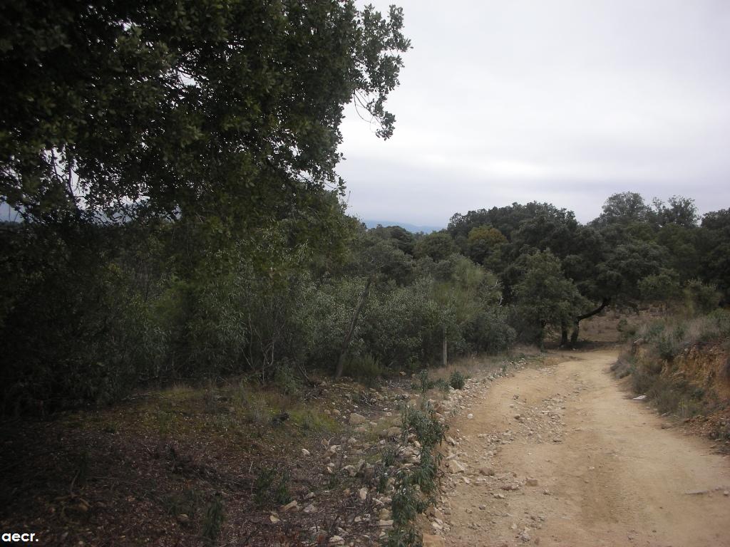 Foto de Valdemorillo (Madrid), España