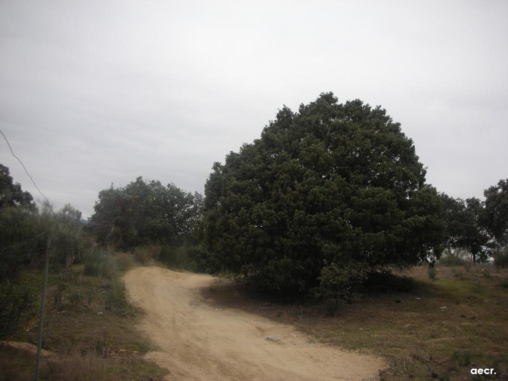 Foto de Valdemorillo (Madrid), España