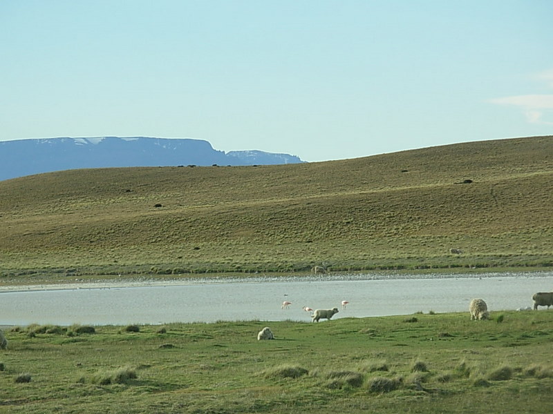 Foto de Pampas Patagónicas, Argentina