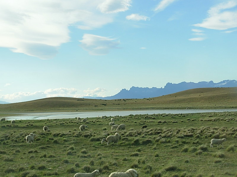 Foto de Pampas Patagónicas, Argentina