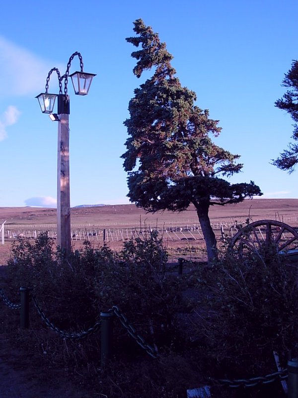 Foto de Pampas Patagónicas, Argentina