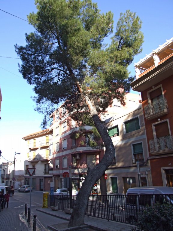 Foto de Yecla (Murcia), España