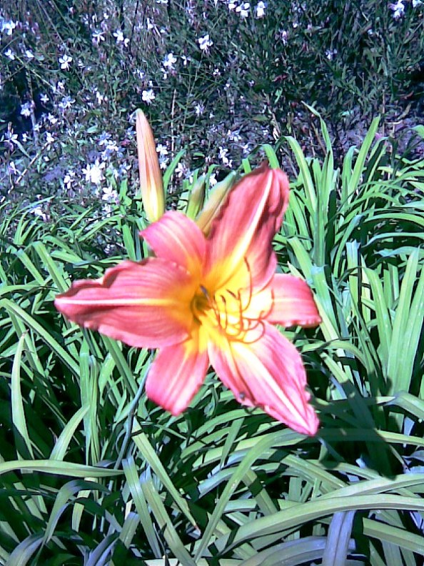 Foto de Buenos Aires, Argentina