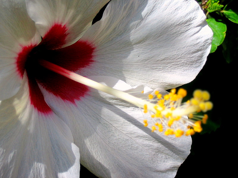 Foto de Córdoba (Andalucía), España
