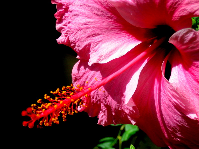 Foto de Córdoba (Andalucía), España