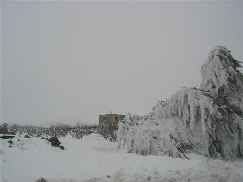 Foto de Sueda, La República Árabe Siria