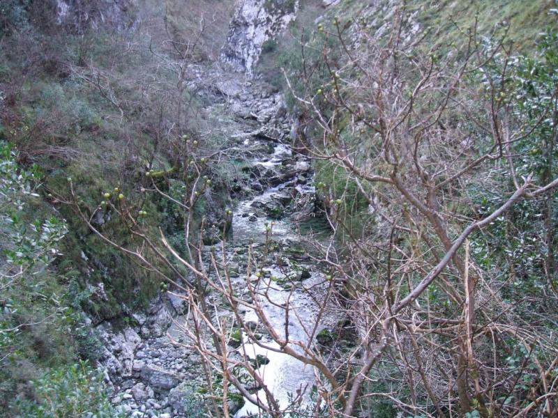 Foto de Urdon (Cantabria), España
