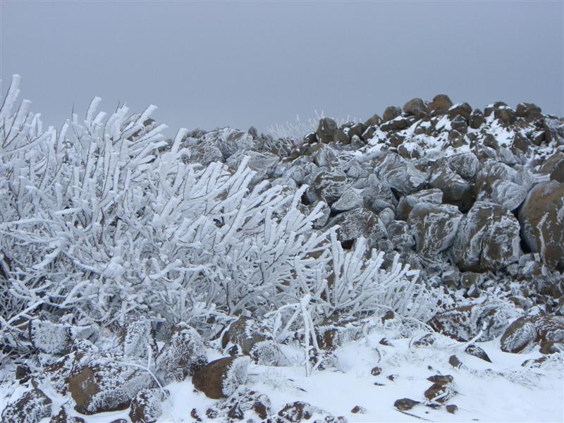 Foto de Sueda, La República Árabe Siria