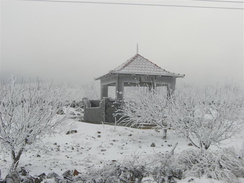 Foto de Sueda, La República Árabe Siria